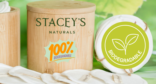 Why Biodegradable Containers Are Important for the Environment