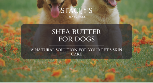 Shea Butter for Dogs: A Natural Solution for Your Pet's Skin Care
