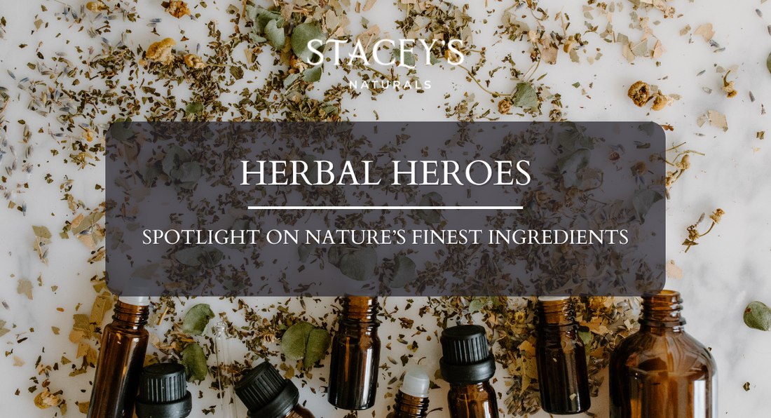 Herbal Heroes: Spotlight on Nature’s Finest Ingredients